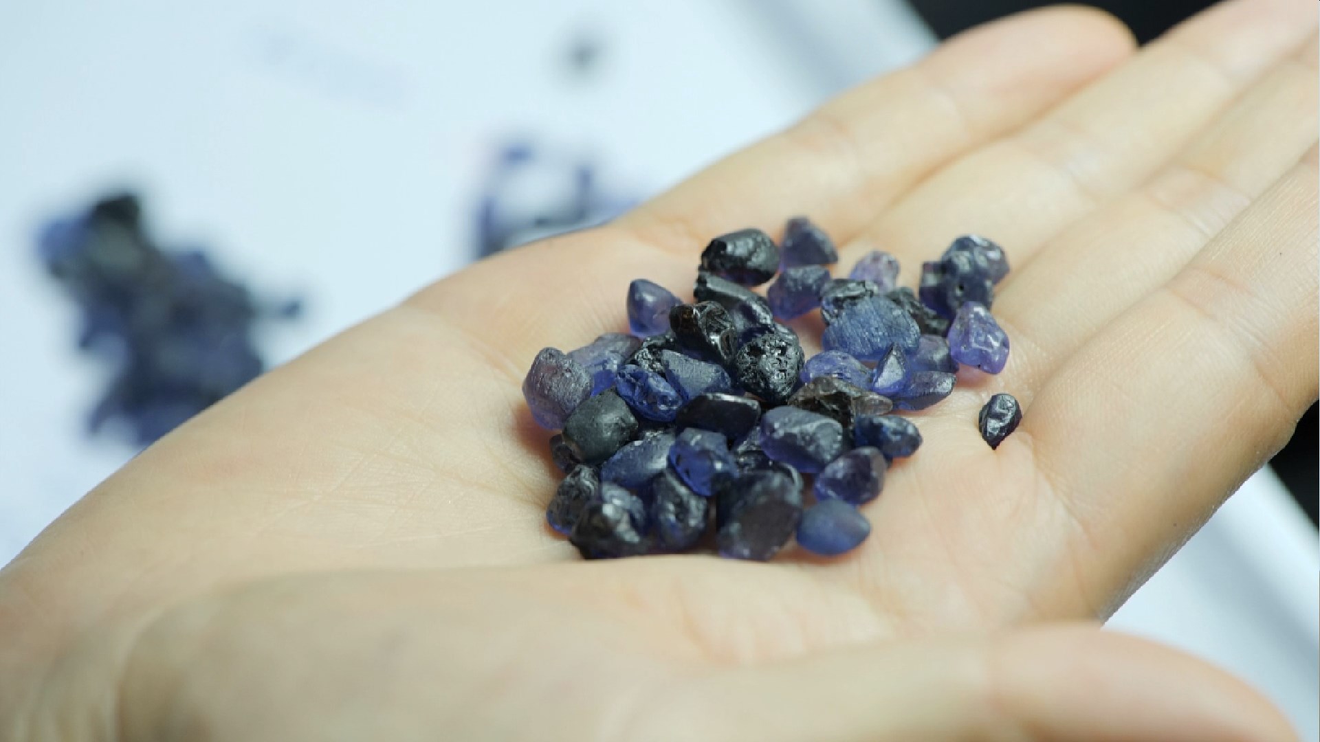 宝姐在斯里兰卡,宝姐的全部视频