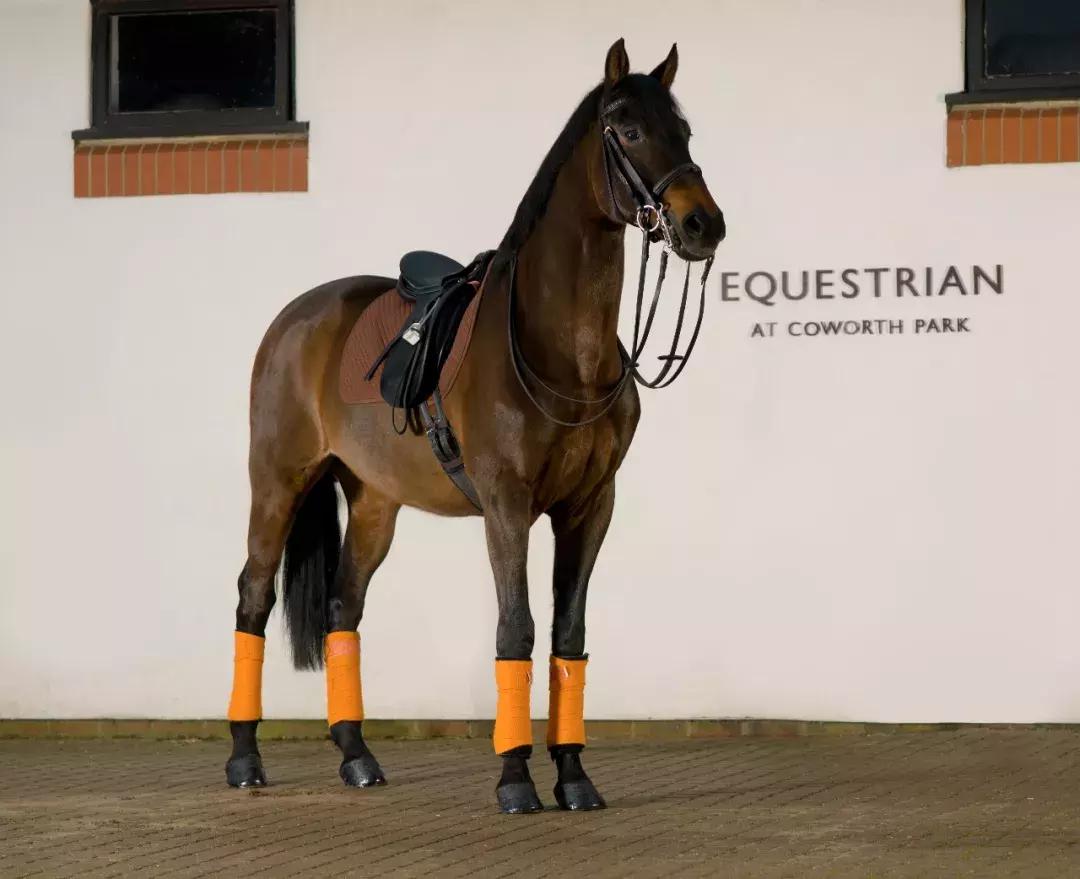 顶级奢华100亩中式庄园,顶级富豪的私人豪宅庄园