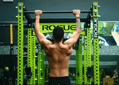 三分化训练之拉力训练,新手健身增肌在家如何高强度训练