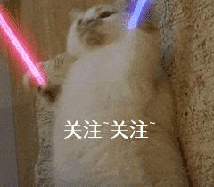 巴哥犬和法斗养哪个好哪个体味大,巴哥犬的体味应该吃什么才能去除