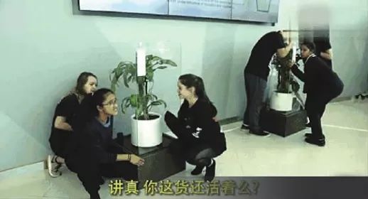 别人骂你傻你怎么怼回去,别人骂你你会怼回去吗
