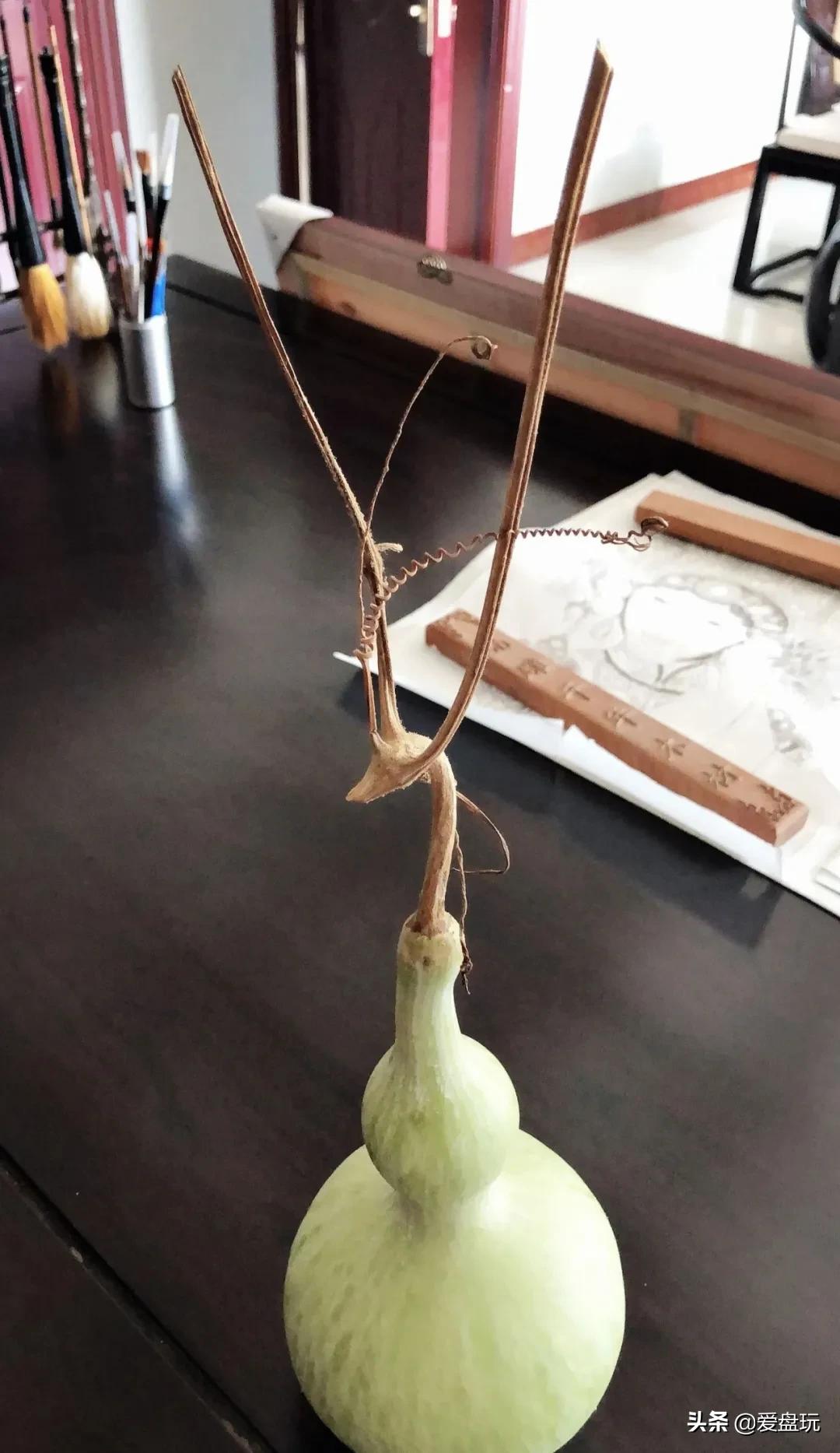 葫芦龙头折了还没断怎么补救,葫芦把龙头盘没了怎么办