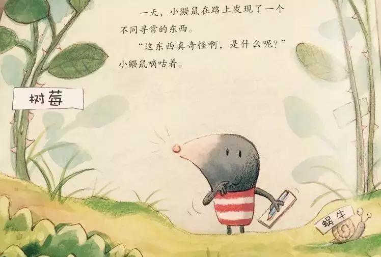 悦宝园主题课程推荐：鳄鱼｜AlligatorsandCrocs