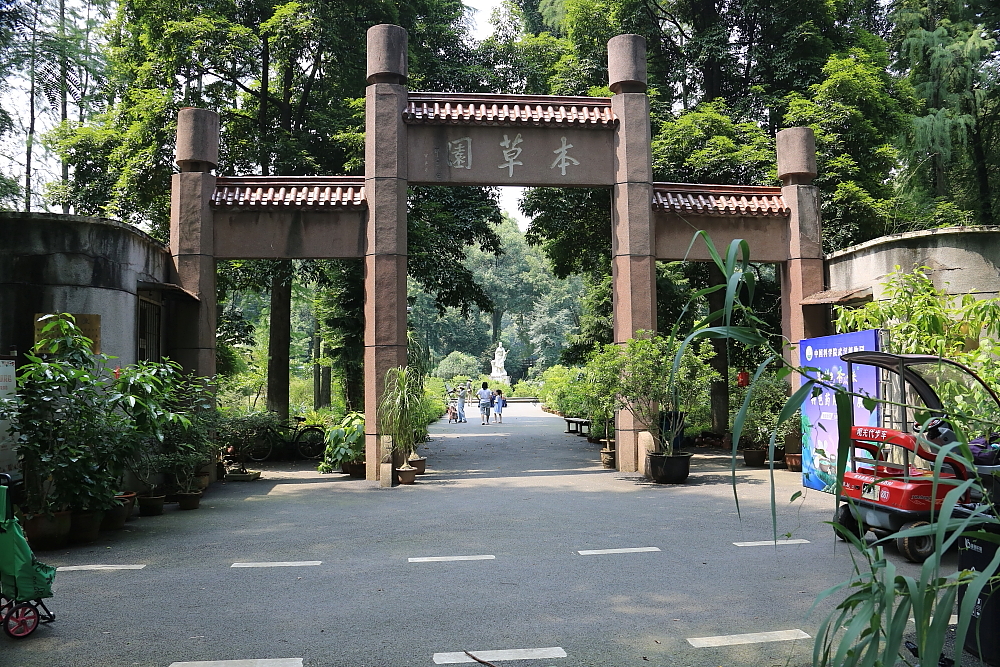 植物园的景；青山吹奏《红河谷》（F调）半音阶口琴演奏第二版