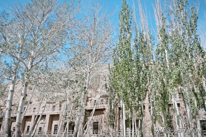 大西北环线深度旅行,大西北千沟万壑