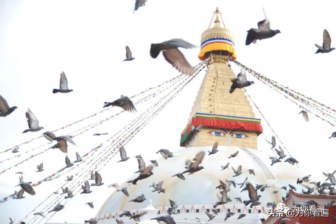 蠢蠢欲动去远行,休学旅行的真实感受