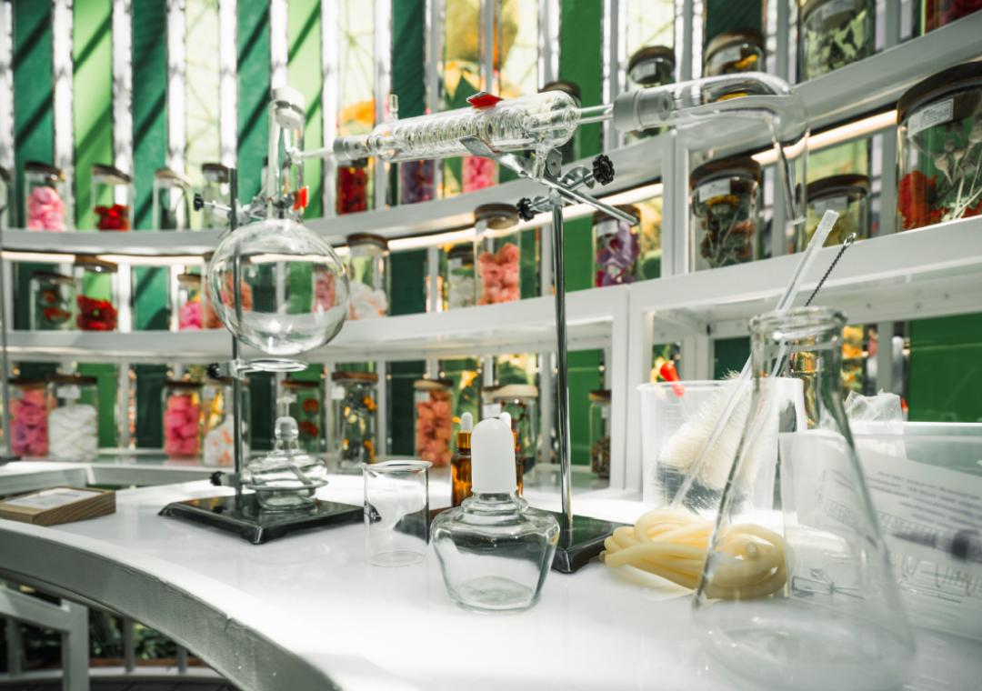 23位美妆达人溯源花之城 邂逅婕珞芙百年品牌魅力