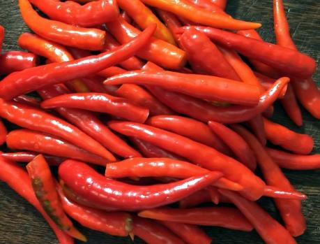 剁辣椒最正宗的做法王刚,剁辣椒的做法川味下饭