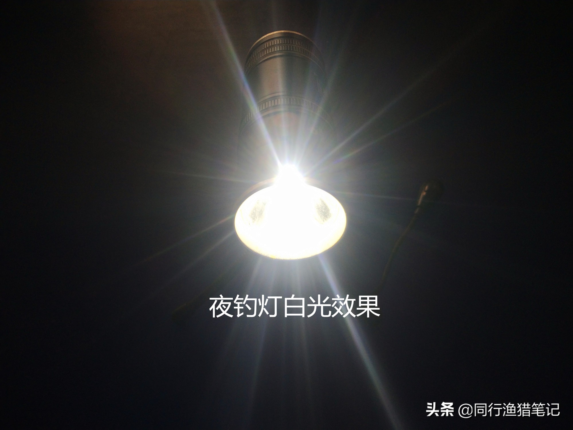 夜光漂跟夜钓灯的优劣,夜钓荧光棒实战