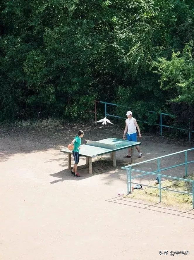 日本摄影师拍乒乓球桌获奖,日本摄影师拍乒乓球桌