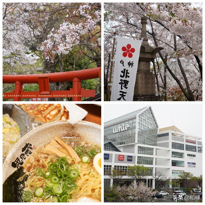 坐豪华邮轮去日本旅游从哪里出发,邮轮日本5天4夜价格首航