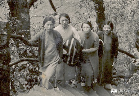 袁昌英的资料,袁昌英简介