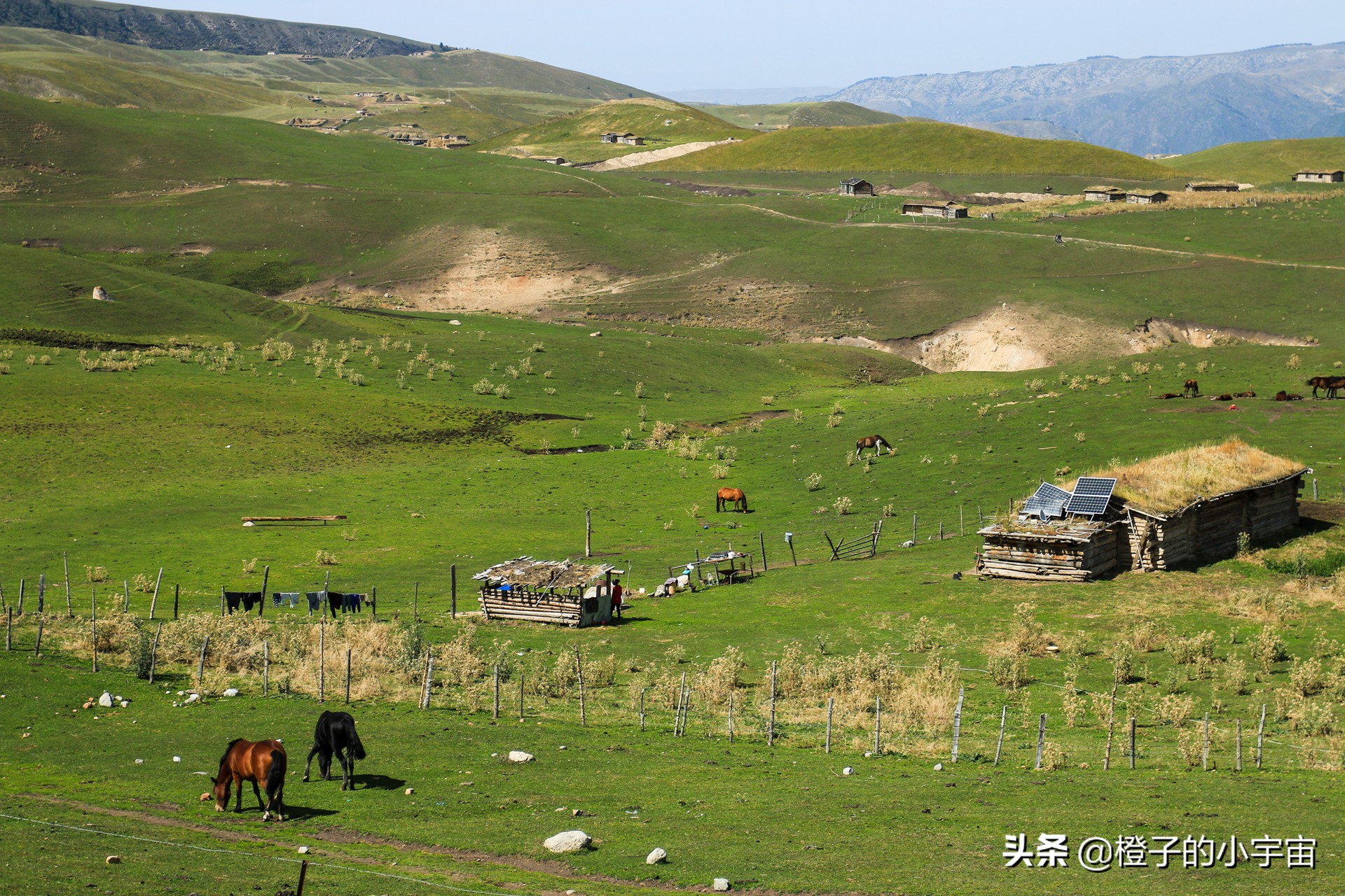 怀念琼库什台的羊毛被