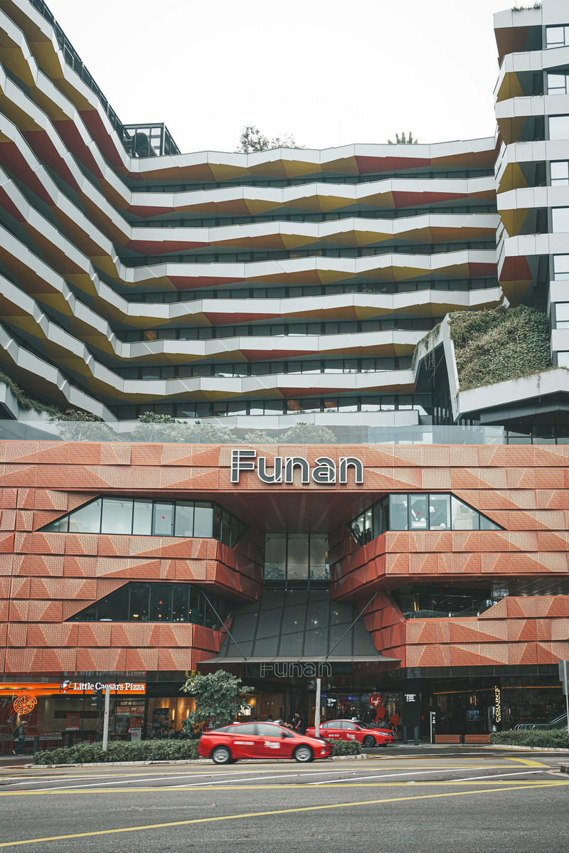 一人一猫环游,一人一猫旅行