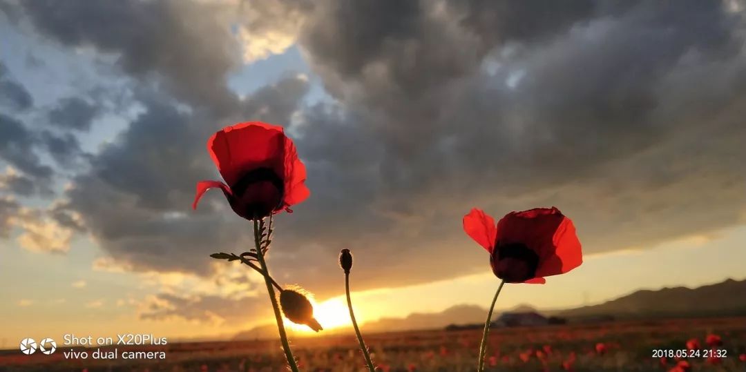 涓嶈兘鍘诲鍦扮殑鐞嗙敱,浜旂浜轰笉鑳藉幓鐤嗗唴鏃呮父