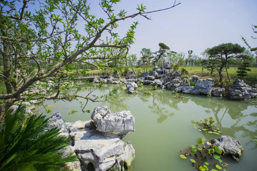 盐龙体育公园开放时间,盐龙体育公园开园仪式