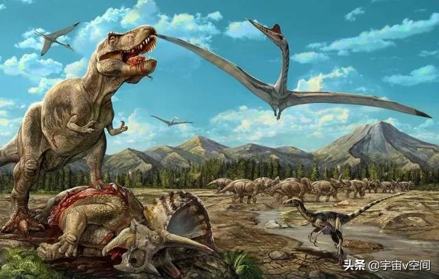 霸王龙是白垩纪晚期才出现的,目前霸王龙有多少具化石