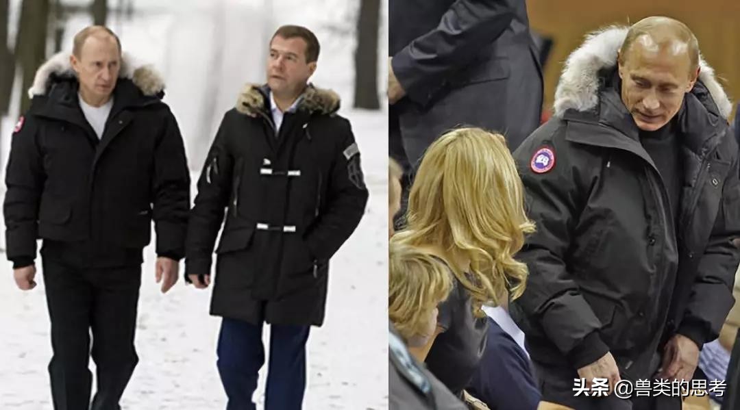 鹅猫相爱记：“加拿大鹅”情人节高调示爱天猫！究竟怎么回事？