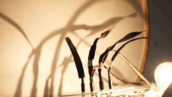 中国设计师创新机会,中国设计师的痛点和发展