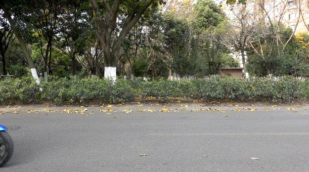 小牛新国标mqi2价格,小牛电动mqi2绿标和黄标的区别