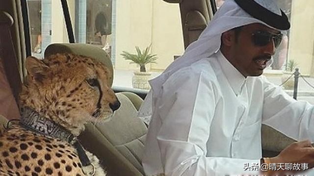 迪拜顶级豪车有哪些牌子,迪拜最豪豪车