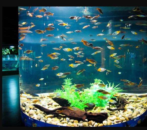 常州金鹰海洋世界门票,常州海洋金鹰海洋世界