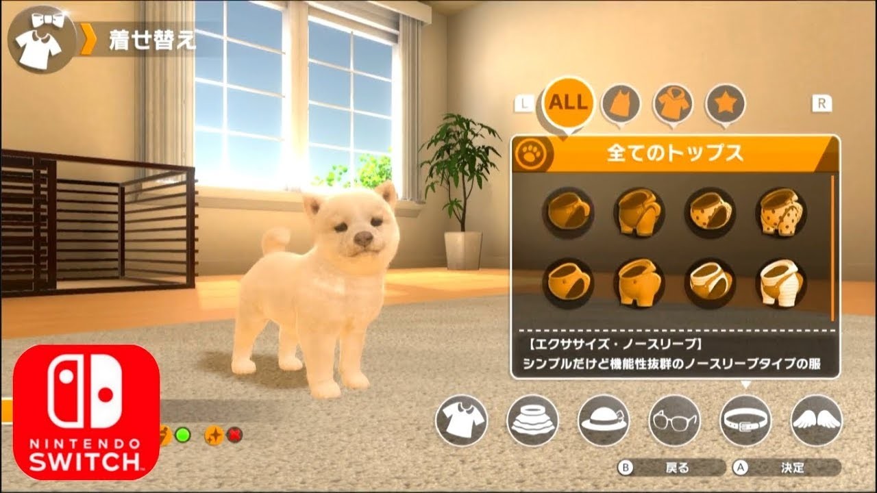 宠物养成游戏小猫,宠物养成小游戏4399