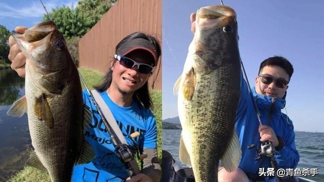 路亚炸线的原因分析和解决办法,玩路亚为什么炸线