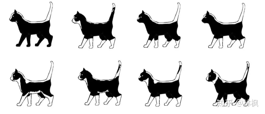 猫咪长红斑点是什么,你知道猫咪的毛色代表了什么吗