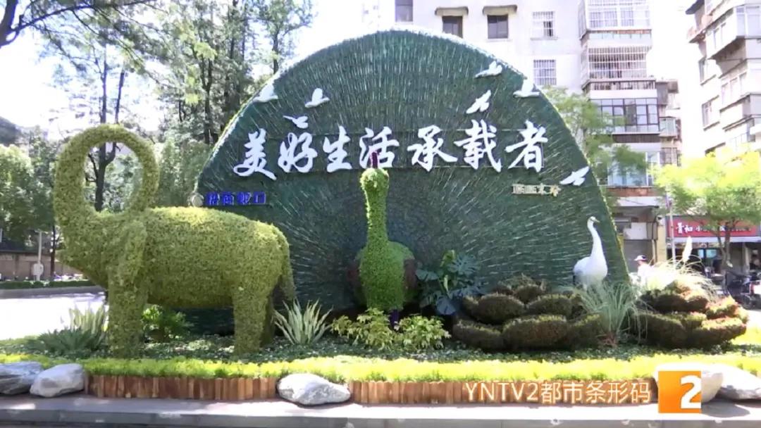 昆明100个立体花坛位置,昆明cop15立体花坛