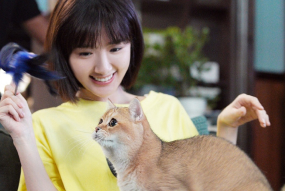 电视连续剧三十而已钟晓芹,电视剧三十而已钟晓芹照片