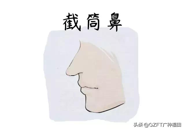 面相有富贵命的人,面相上哪些鼻子好