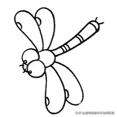 可爱的小昆虫简笔画,我认识的昆虫简笔画