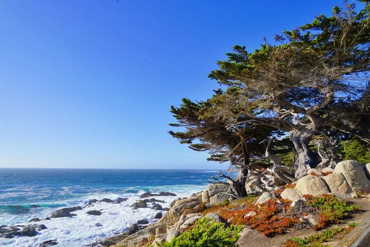 美国德州西部自由行,美国西海岸可以自由航行么