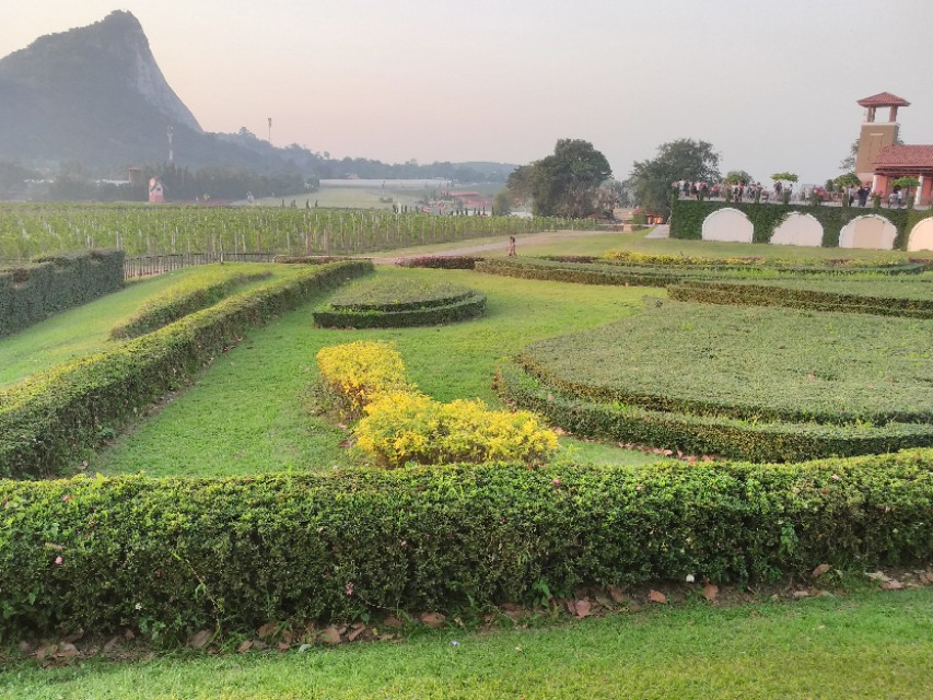 泰国芭提雅旅游,关于泰国芭提雅