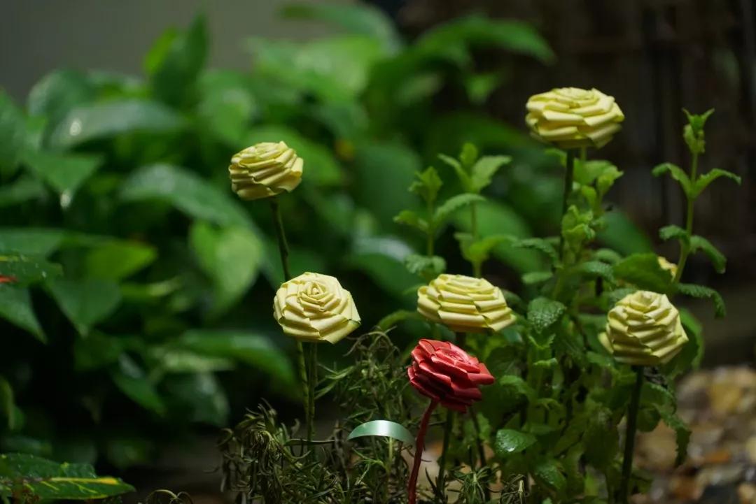 徒手编玫瑰花教程,只需要一把剪刀就能剪出刘海