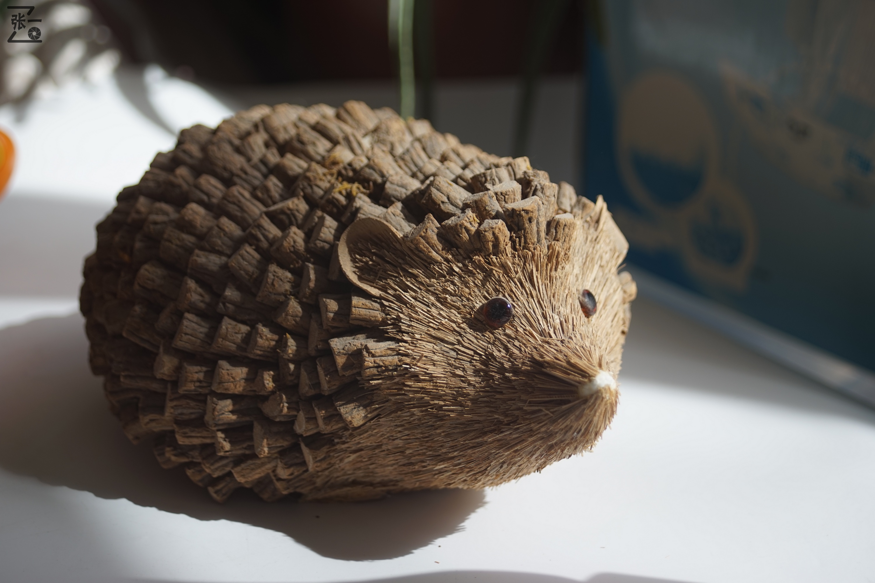 海鸥df300镜头与哪款数码相机通用,海鸥相机df300x怎么样