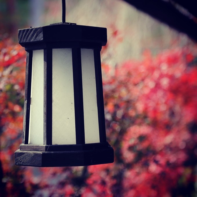 日本京都枫叶季旅游攻略,日本关西赏枫旅游攻略