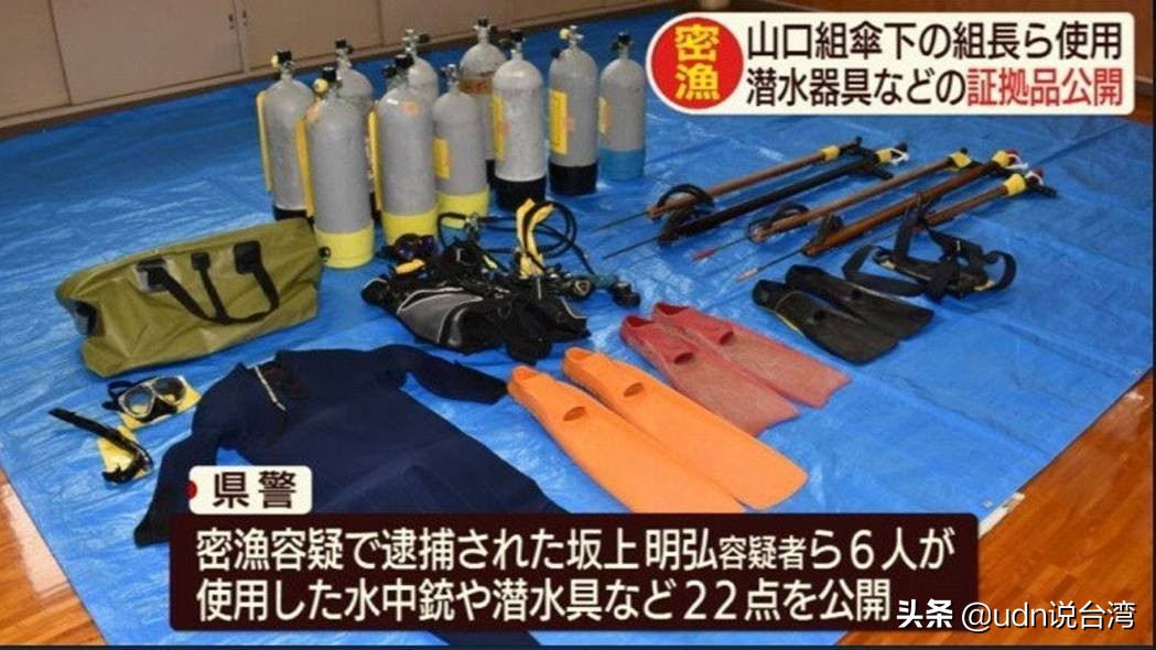 生鱼片与*力暴**团：日本非法“密渔”的暗黑餐桌