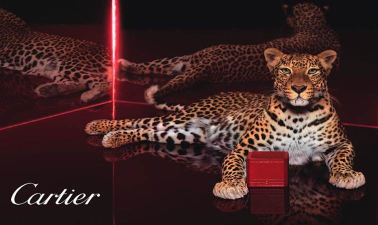 卡地亚钻石项链真假鉴别,卡地亚牛头款白金钻石项链