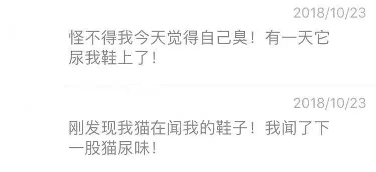 猫咪乱吃药怎么救,猫咪乱尿解决神器