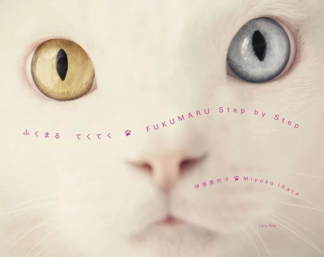 中国各出版社推荐书单,十大出版社联合书单