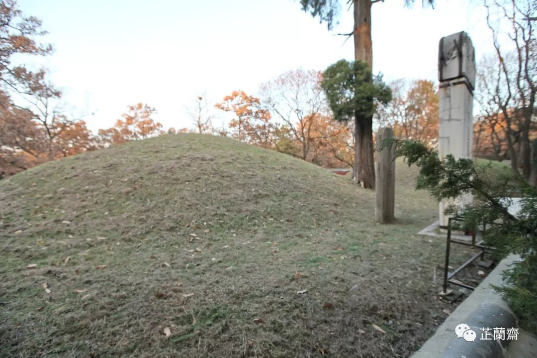 孔林各个时代的墓葬,孔林埋葬孔子家族墓葬多少座