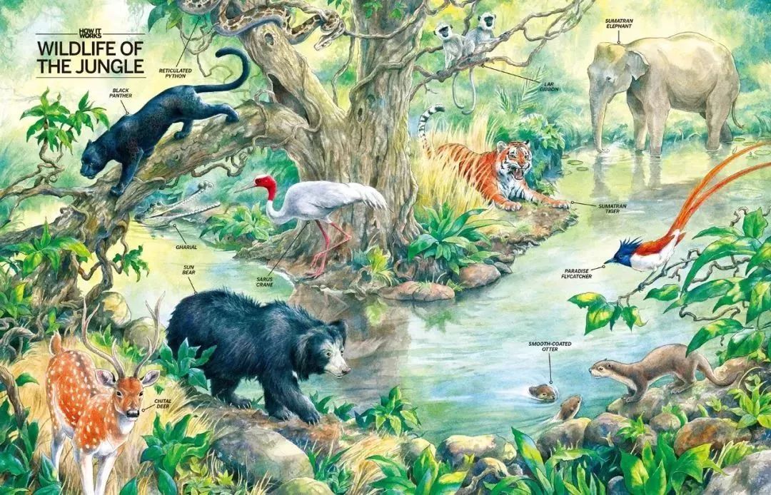 杨振宁为何反对建造粒子对撞机,杨振宁为什么不建议建对撞机