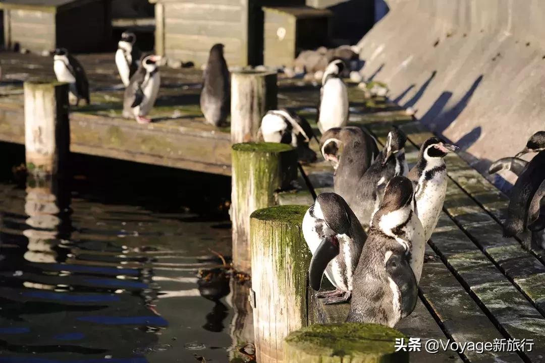 真人版“维京村庄”在哪里？除了农场还有冰川和山妖传说等你去解锁