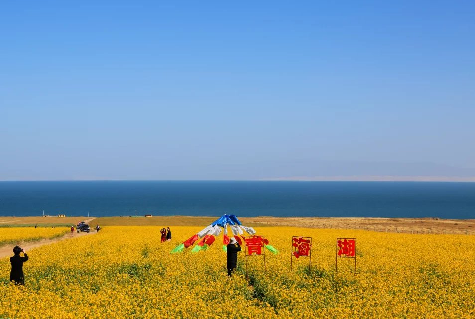 江苏国家级5a景区有哪些地方,国家级5a景区都有哪些
