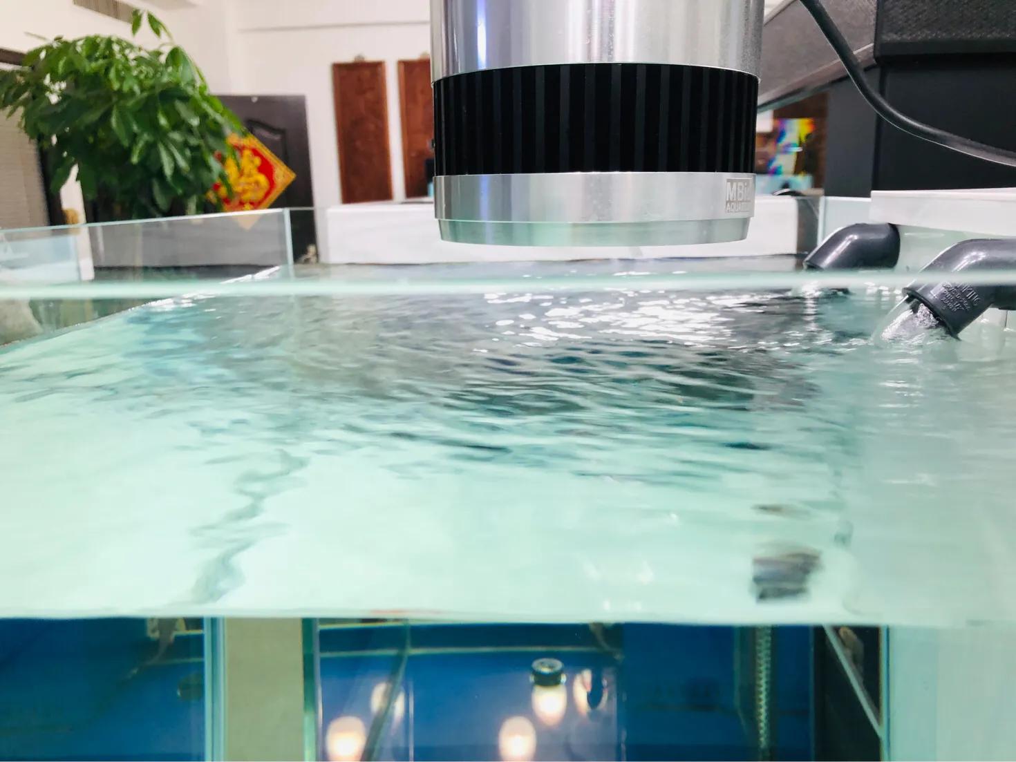 怎么用滤材做奶糕,用滤材做奶糕的做法