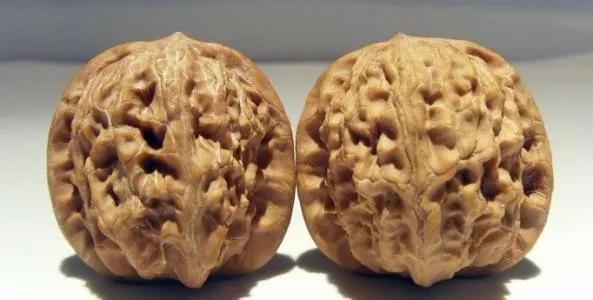 文玩核桃全国产地分布,文玩核桃种植地域