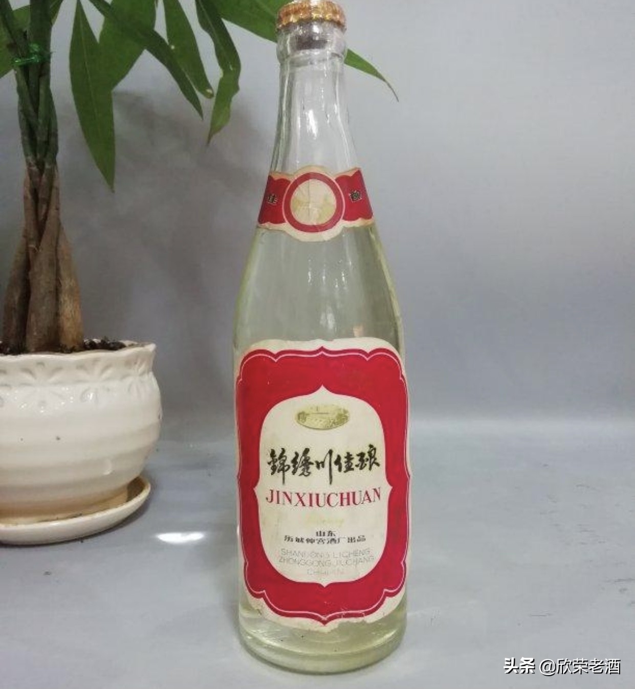 经典趵突泉酒,趵突泉酒价格复古版小酒