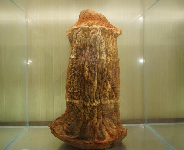 太岁头上不得动土的由来,太岁头上不宜动土的意思